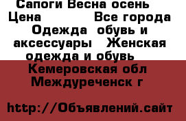 Сапоги Весна осень  › Цена ­ 1 700 - Все города Одежда, обувь и аксессуары » Женская одежда и обувь   . Кемеровская обл.,Междуреченск г.
